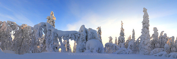 0480 - A - Sleeping under the snow - HD