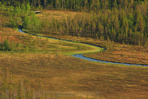 0137 - B - Swamp and river