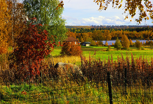 0261 - B - Autumn colours