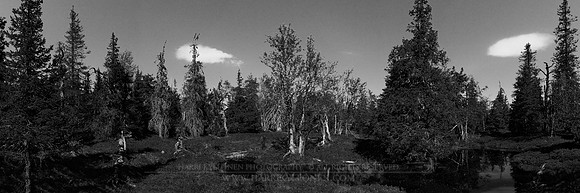 0582 - A - Tiny pond on Javarustunturi primeval forest b&w - HD
