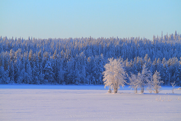 0962 - B - Foreland at winter