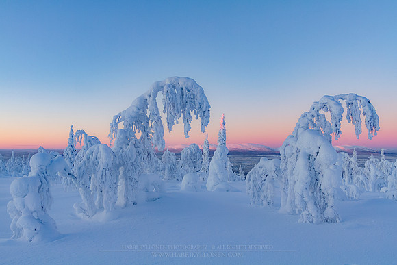 1792 - Winter wonder view