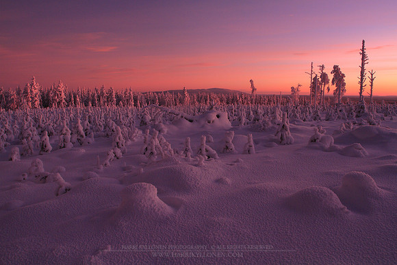 1240 - B - Marjovaara at kaamos light II