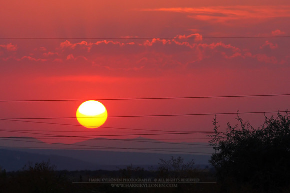 1029 - Bulgarian sun