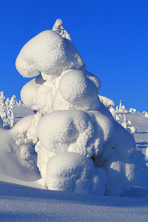 0980 - B - Heavy snow cover