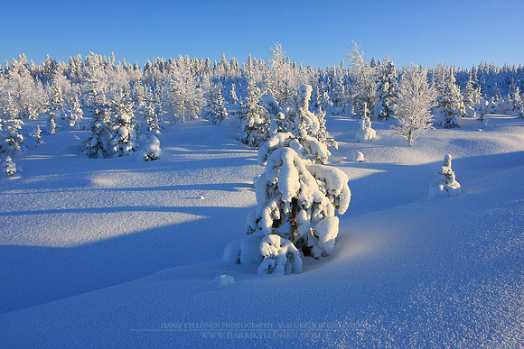 0339 - A - Winter landscape III