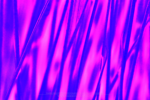 0012 - B - Purple and blue