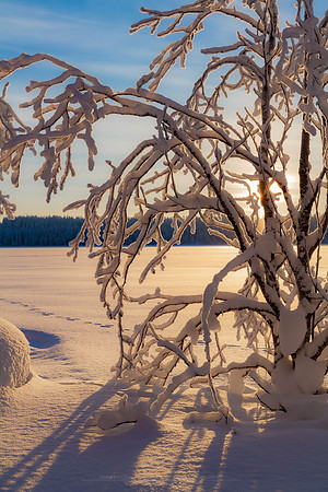 1823 - Mustajärvi sunset