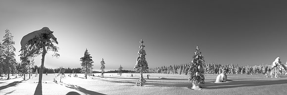 0575 - A - Survivors of cold b&w - HD