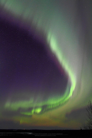 0688 - A - Northern light curve