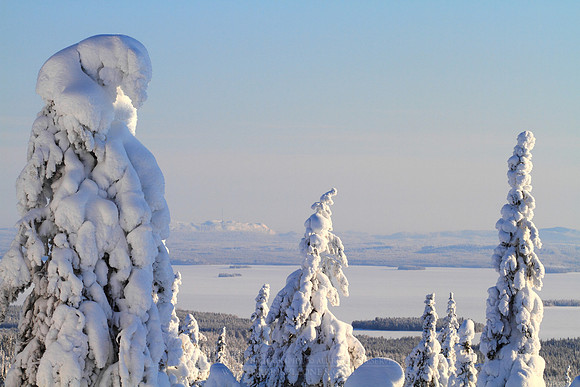 1127 - B - Riisitunturi view to Kitkajarvi