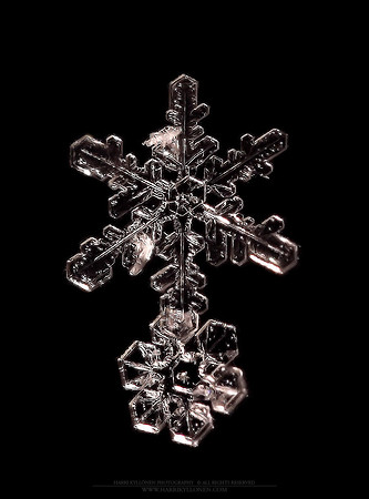 0184 - B - Ice Medal