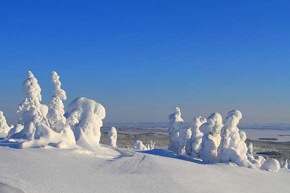 1125 - B - Riisitunturi view