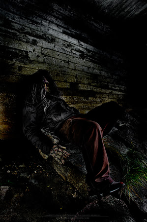 0395 - B - Recluse