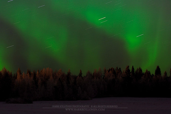 0236 - B - Auroras over the forest