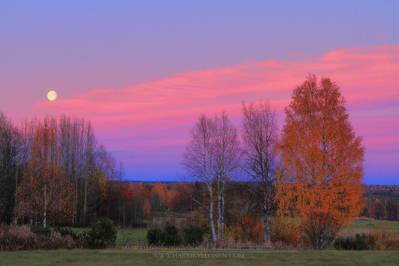 1068 - Moonset at fall