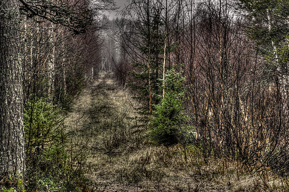 0150 - B - Dark path