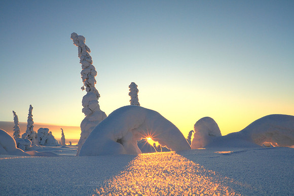 1195 - B - Snow arch
