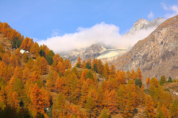 1177 - B - Mountain autumn colours II