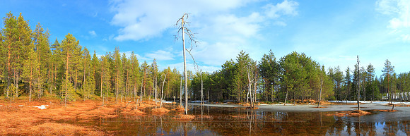 0560 - A - Spring flood on the swamp - HD