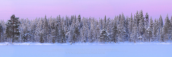 0448 - A - Winter afternoon - HD