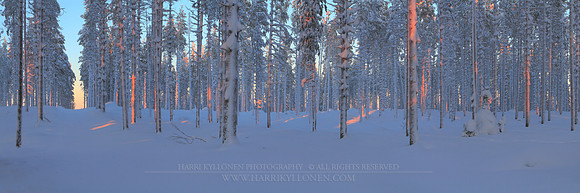 0599 - B - Glimpses of light - HD