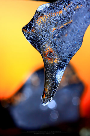 0185 - B - Frozen drop