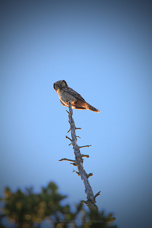 1206 - B - On a vantage point