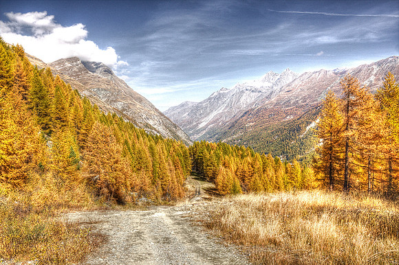 0153 - B - Mountain autumn colors