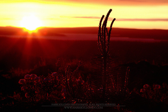 0047 - B - Early start
