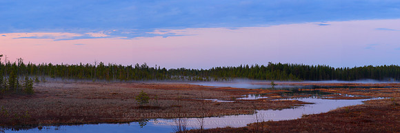 0210 - A - Swamp - HD