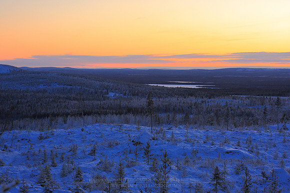1168 - B - Winter frost