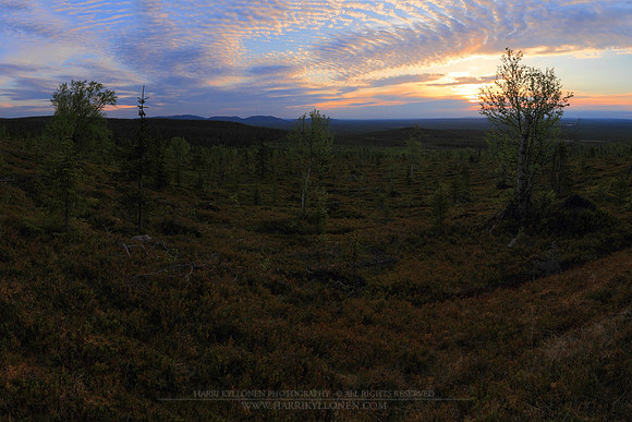 0635 - B - Early morning - HD