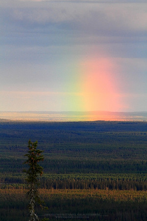 0665 - A - Treasure point II