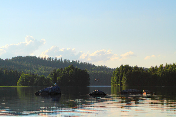 0998 - B - Kivisalmi and few seaguls