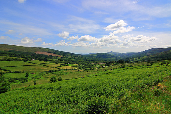 0989 - B - Irish countryside
