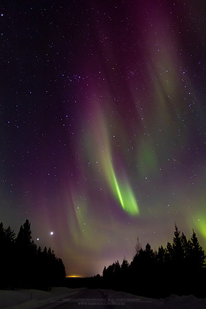 1801 - Auroras, Jupiter and Venus