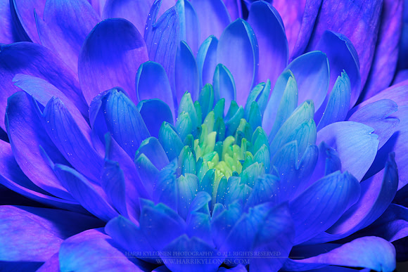 0187 - B - Blues