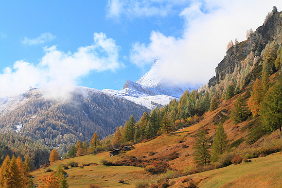 0956 - A - Early winter view II