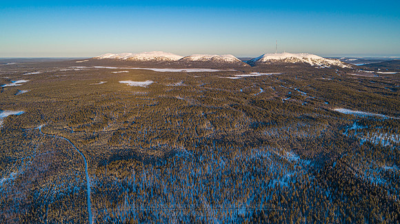 1835 - Pyhätunturi fells at morning