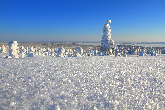 1189 - B - Winter surface