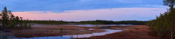 1412 - Swamp