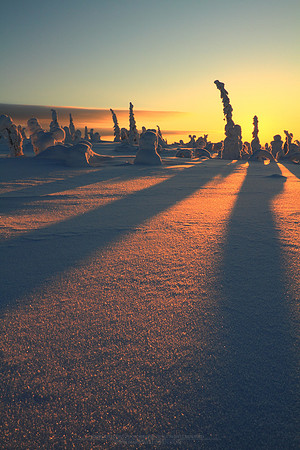 1194 - B - Long shadows on crystal snow II