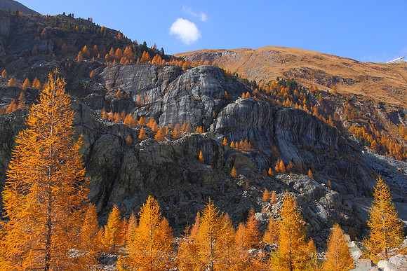 0951 - A - Cliff side colours
