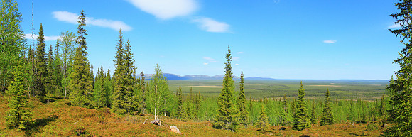 0555 - A - Fresh vista - HD