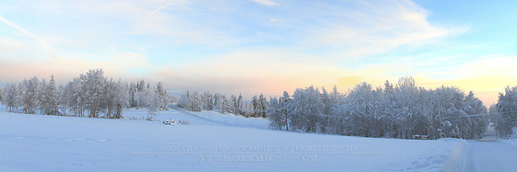 0478 - A - Frozen forest