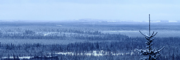 0494 - A - Alone in the cold - HD