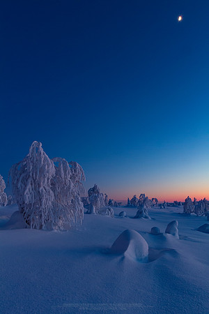 1794 - Blue moment on Varsatunturi