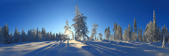 0485 - A - Shadows on powder - HD