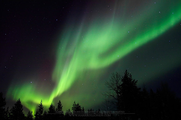 0239 - A - Dreaming Auroras
